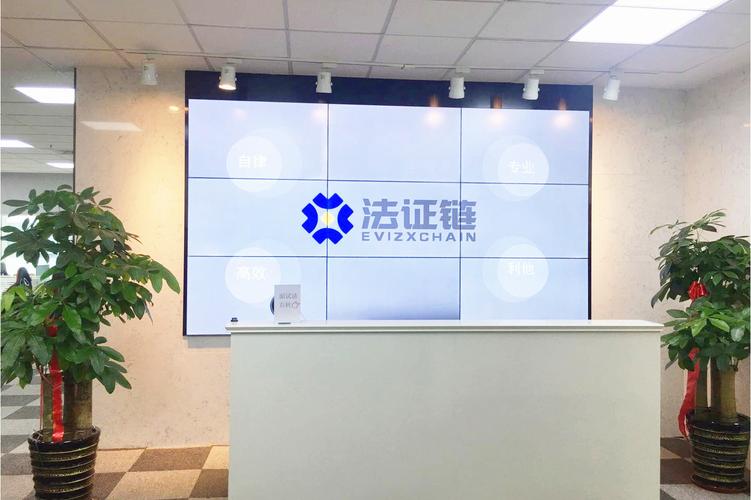 梁艳 以区块链技术为翼，引领网络服务新飞跃
